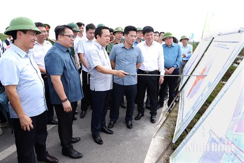 Đồng chí Chủ tịch UBND tỉnh khảo sát thực tế, động viên, nắm bắt tình hình sản xuất, phòng, chống thiên tai