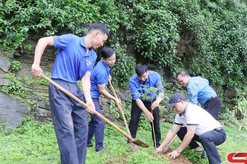 Nhiều hoạt động hiệu quả, thiết thực