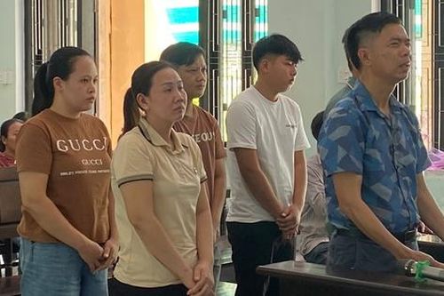 Huế: Làm giả kính ô tô, 6 bị cáo lĩnh án hơn 28 năm tù