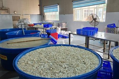 Hơn 13 tấn chân gà không rõ nguồn gốc chuẩn bị tuồn ra thị trường