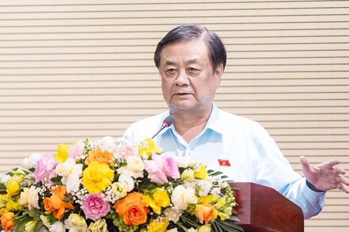 Phát triển nông nghiệp bền vững gắn với bảo vệ môi trường cần thiết thực, dễ hiểu, dễ làm