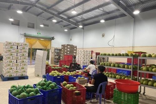 Mô hình giảm nghèo bền vững ở Bến Tre