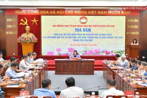 Đánh giá để hoàn thiện mô hình tổ chức, hoạt động của VCA và VCCI