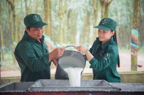 VRG: Tầm nhìn xa, chiến lược lớn và bước đi bền vững