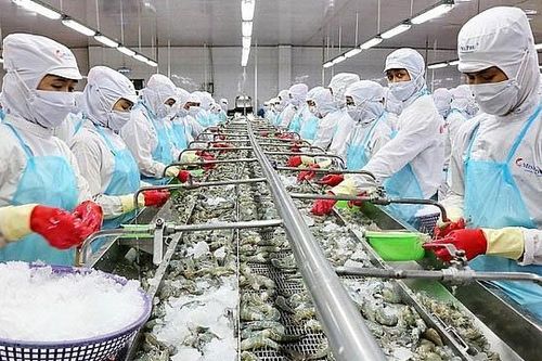 14 loại thu nhập doanh nghiệp, HTX được đề nghị miễn thuế
