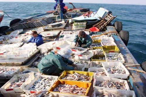 Đề xuất miễn thuế 14 loại thu nhập doanh nghiệp, HTX