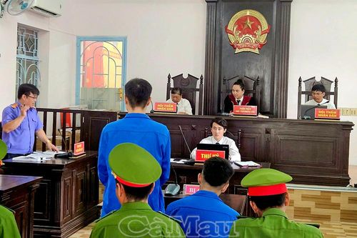 Rủ bạn đi bán ma túy, mỗi người lãnh án hơn 7 năm tù