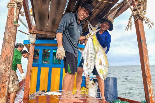 Cùng ngư dân bảo vệ nguồn lợi thủy sản