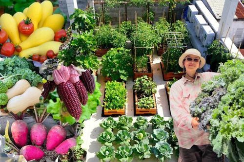 Mê mẩn khu vườn sân thượng đẹp 'như vẽ bằng AI' của mẹ đảm Đà Nẵng