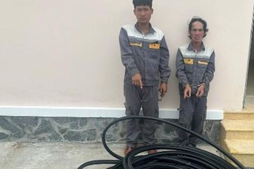 Mặc đồ công nhân viễn thông, liều lĩnh cắt trộm cáp giữa ban ngày