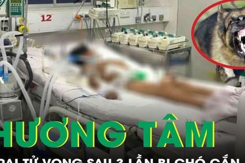 Thương tâm: Bị chó nhà cắn 3 lần nhưng không tiêm phòng, bé trai 13 tuổi không qua khỏi