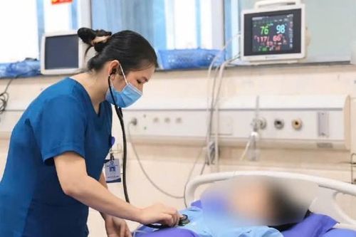 Sốc phản vệ do ong đốt, người phụ nữ nguy kịch