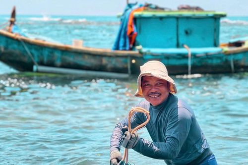 Quảng Ngãi: Ngư dân lặn bắt nhum biển, kiếm tiền triệu mỗi ngày