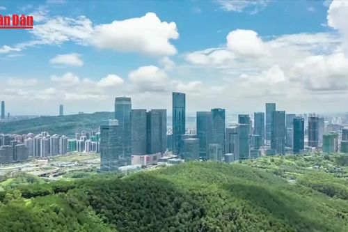 Kinh nghiệm chuyển đổi xe điện ở Trung Quốc