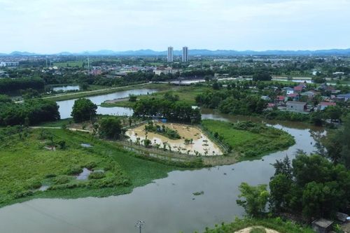 Độc đáo vườn chim nhân tạo ở bờ sông Đông