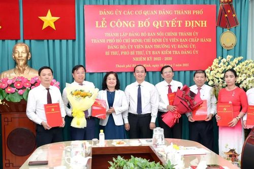 Thành lập Đảng bộ Ban Nội chính Thành ủy TPHCM