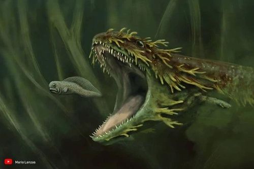 Tận thấy 'quái vật thời tiền sử' từng bá chủ dưới nước