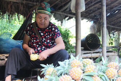 Kết quả rõ nét từ chính sách dân tộc ở Điện Biên: Vùng cao vững bước đi lên