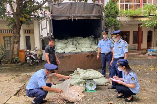 Kiểm tra, tạm giữ gần 4 tấn chân gà không rõ nguồn gốc, xuất xứ