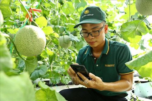 Nhiều đơn vị chuyển đổi số dành 70% ngân sách chủ yếu xin mua phần cứng
