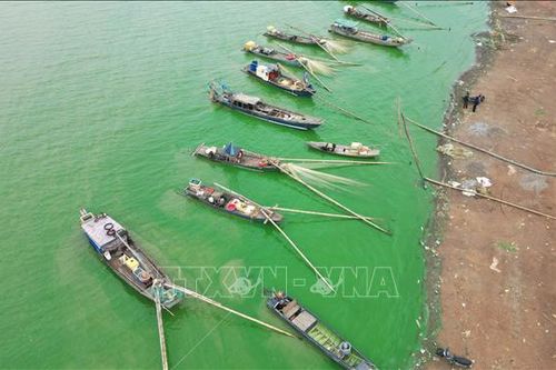 Nước hồ Trị An đổi màu do tảo xanh lan rộng