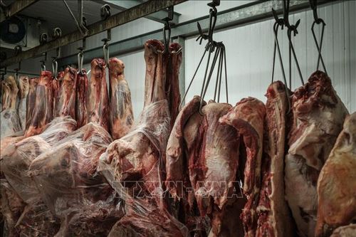 Thái Lan đối mặt hàng loạt thách thức về nông nghiệp trong đàm phán thuế quan với Mỹ