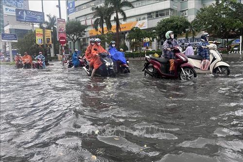 Đề phòng lũ quét, sạt lở đất ở Đà Nẵng, Quảng Ngãi và Gia Lai