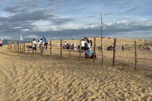Đồi cát du lịch nổi tiếng ở Quảng Trị bị giăng hàng rào bằng cọc tre