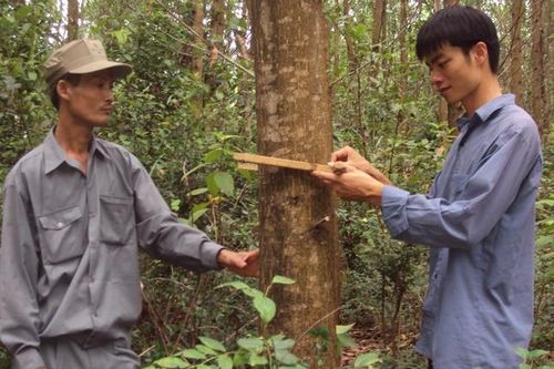 Việt Nam hướng tới mục tiêu phát thải ròng bằng 0 vào năm 2025