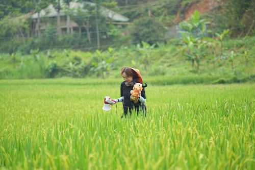 Về Quê Làm Giàu: Mô hình phát triển cộng đồng cần được lan tỏa