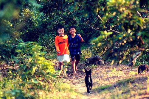 Mùa hè của Tũn