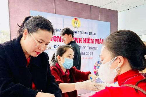 UBND tỉnh Gia Lai chỉ đạo đảm bảo lượng máu phục vụ cấp cứu, điều trị