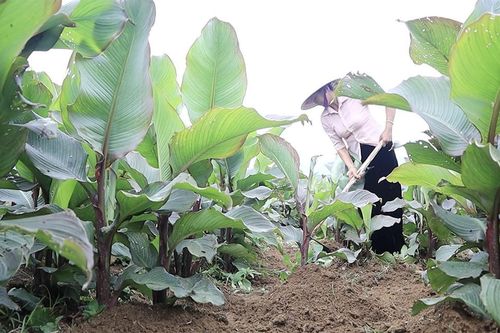 Gắn trách nhiệm công việc với từng cá nhân