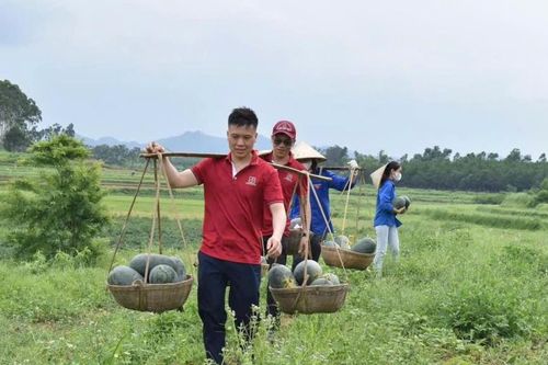 Tuổi trẻ Agribank vì cộng đồng