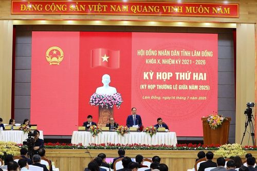 Đại biểu HĐND tỉnh Lâm Đồng thảo luận nhiều giải pháp phát triển kinh tế - xã hội trong tình hình mới