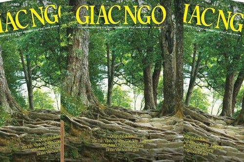 Báo Giác Ngộ số 1311: Vấn đề xác nhận 'sổ hạ' sau khi dừng Ban Trị sự cấp quận, huyện; sáp nhập tỉnh, thành