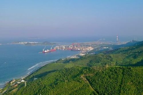 Khánh Hòa rà soát toàn bộ dự án liên quan đến đất rừng tại Khu Kinh tế Vân Phong