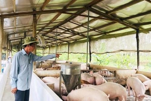 Kinh tế hợp tác tạo động lực vươn lên cho người dân Hướng Hiệp sau sáp nhập