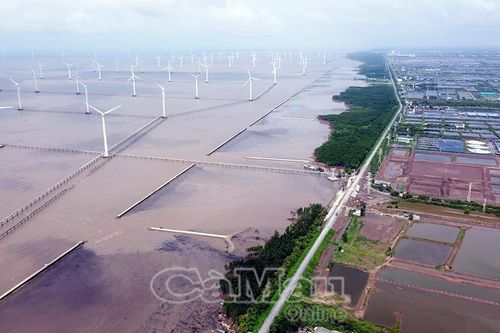Khẩn trương nâng cấp đê biển Đông