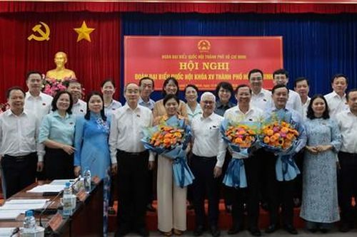 Đoàn Đại biểu Quốc hội TPHCM: Đẩy mạnh giám sát hoạt động bộ máy chính quyền 2 cấp