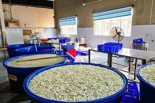 Phát hiện kho hàng chứa 6,9 tấn chân gà bẩn, ngâm hóa chất ở Thanh Hóa