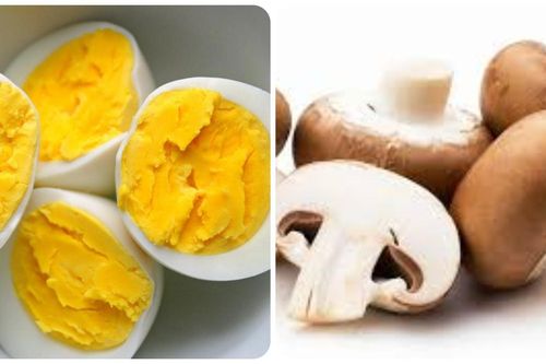 Vitamin D có trong thực phẩm nào nhiều nhất?