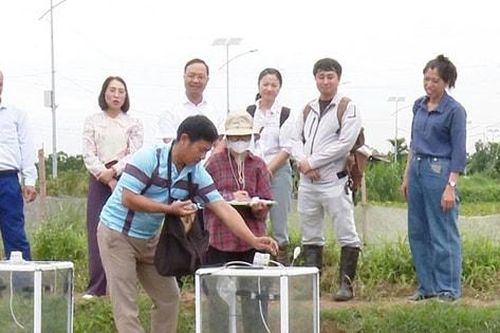 Ứng Hòa 'chuyển mình' theo hướng nông nghiệp xanh, thông minh