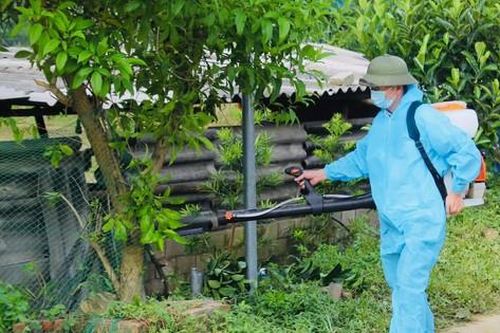 Bé trai 9 tuổi ở Quảng Ninh được phát hiện mắc viêm não Nhật Bản B từ triệu chứng đau đầu