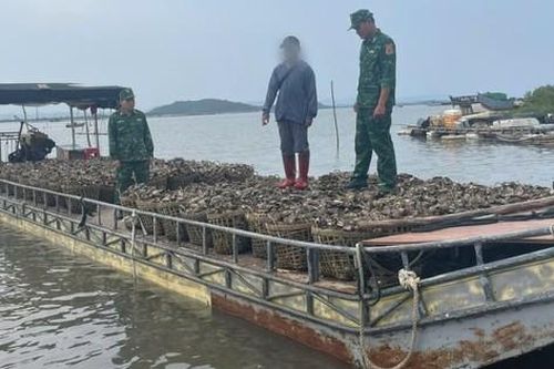 Mua 4 tấn hàu lậu ở nước ngoài mang về Việt Nam bán kiếm lời