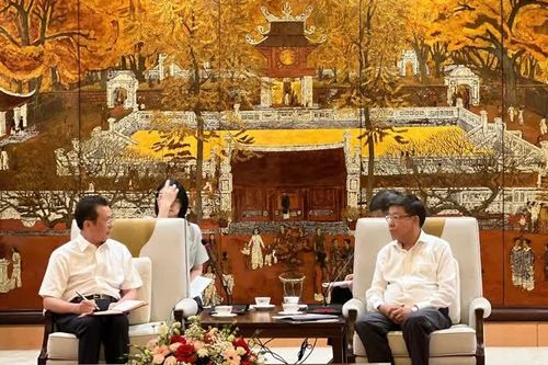 Hà Nội hợp tác với Trùng Khánh (Trung Quốc) phát triển đường sắt đô thị