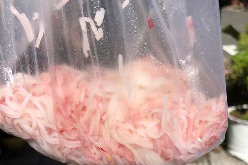Do vi sinh, không phải hóa chất