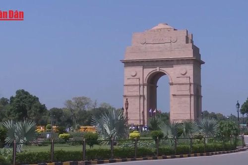 Cơ trưởng Air India bị nghi là người tự ngắt nhiên liệu sau khi cất cánh