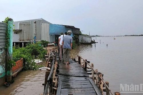 Khẩn trương ứng phó sạt lở đất vùng ven sông, ven biển Cà Mau