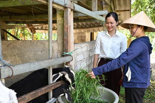 Hỗ trợ 100% mức đóng bảo hiểm y tế với hộ cận nghèo ở các xã nghèo